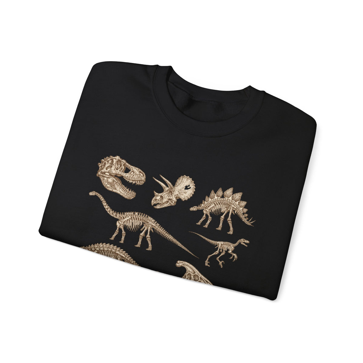 Dinosaur Skeleton Fossils Sweatshirt Vintage Paleontology Chart