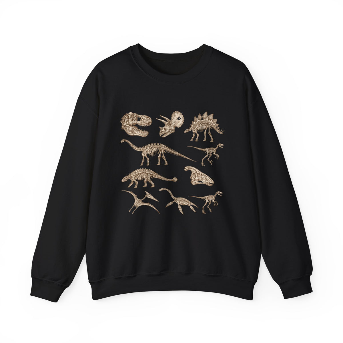 Dinosaur Skeleton Fossils Sweatshirt Vintage Paleontology Chart