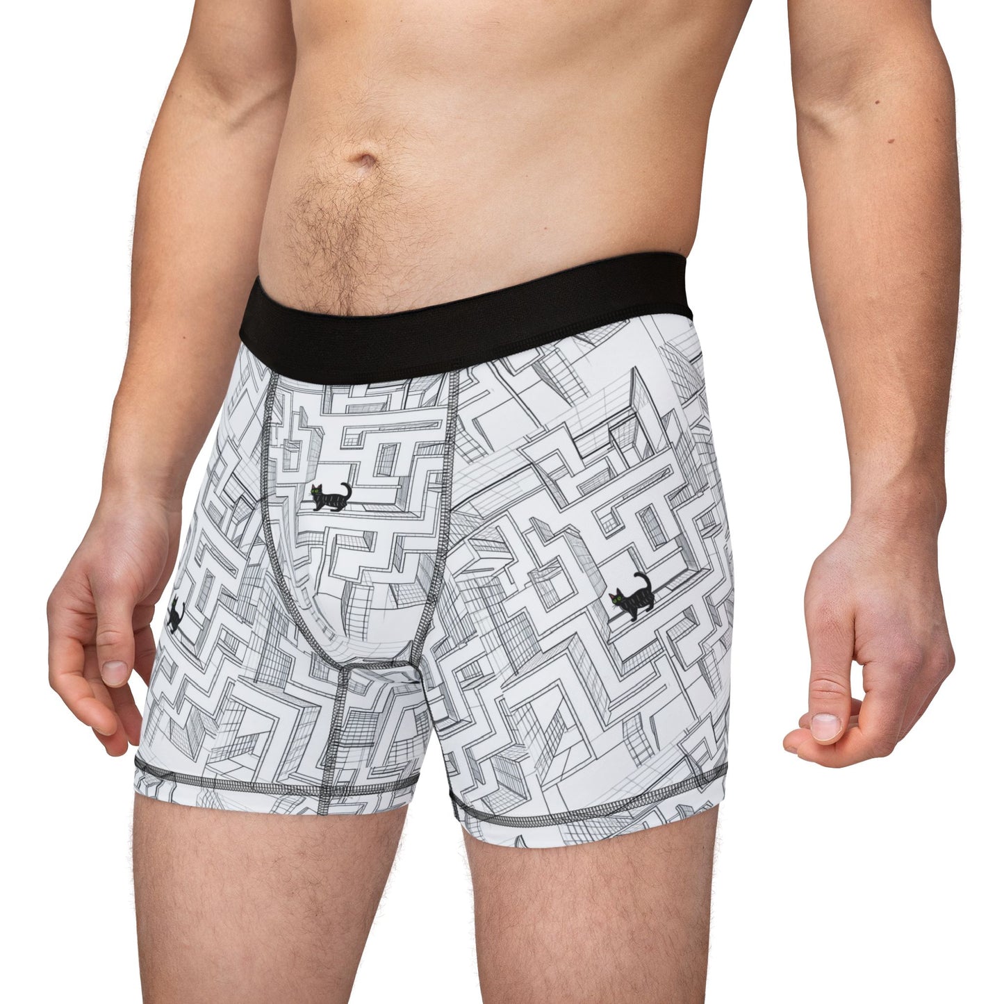 Maze cat Men's Boxers (AOP)