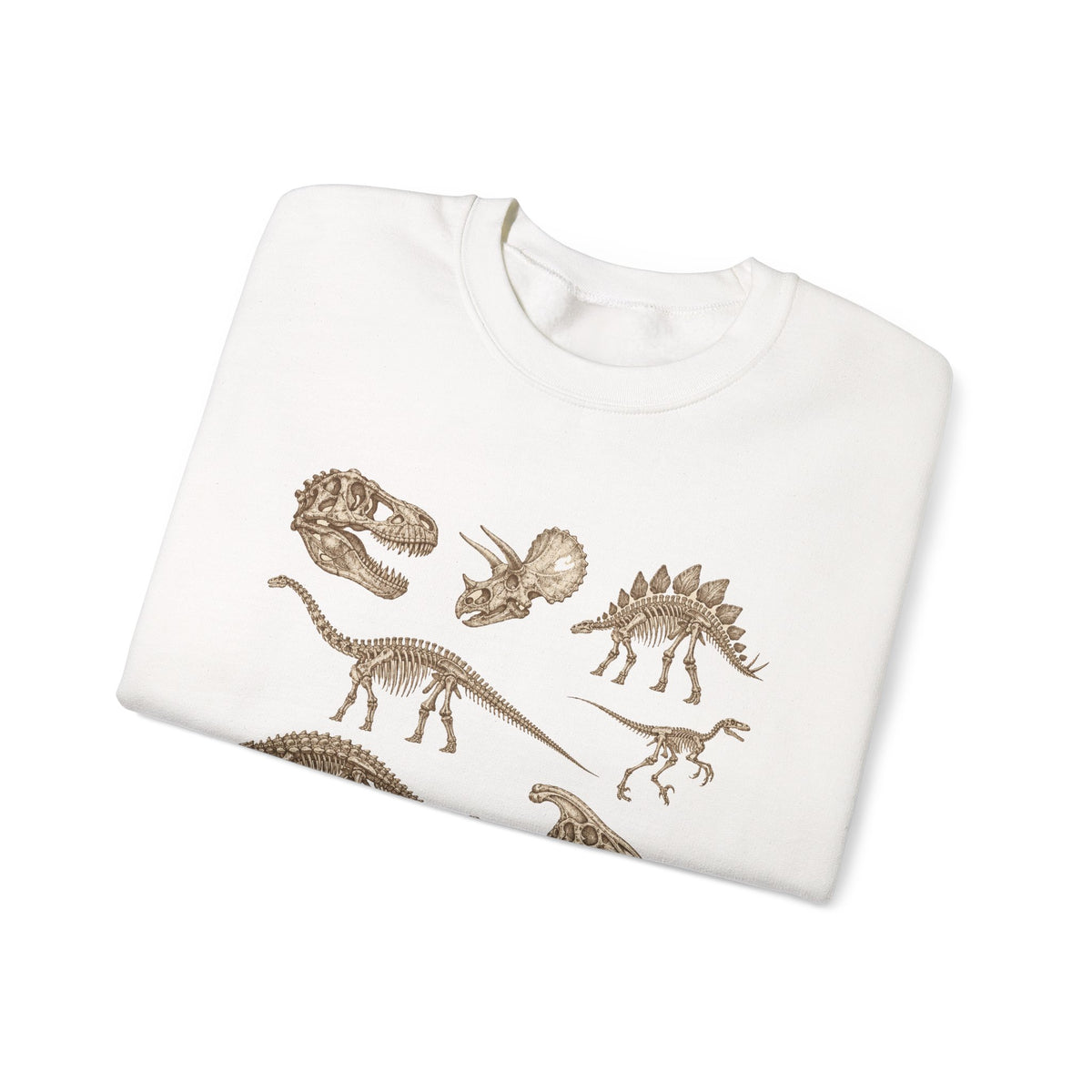 Dinosaur Skeleton Fossils Sweatshirt Vintage Paleontology Chart