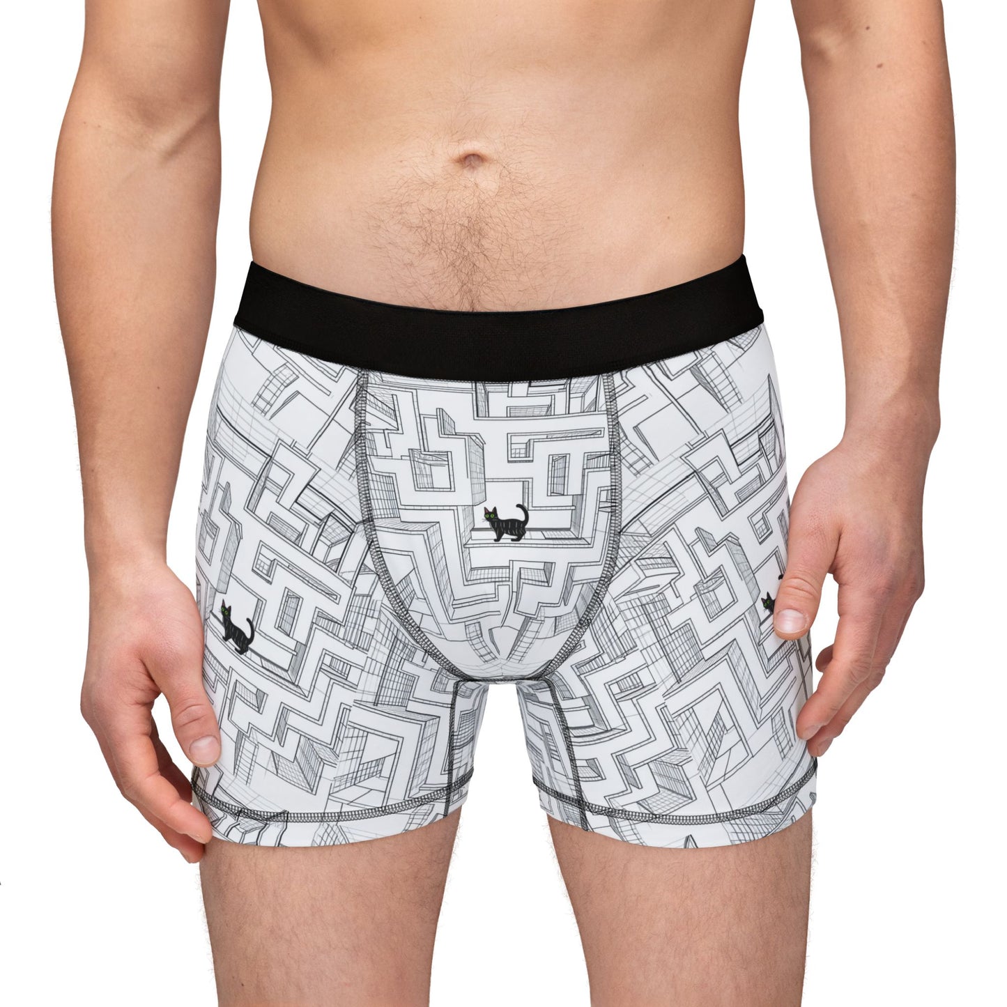 Maze cat Men's Boxers (AOP)